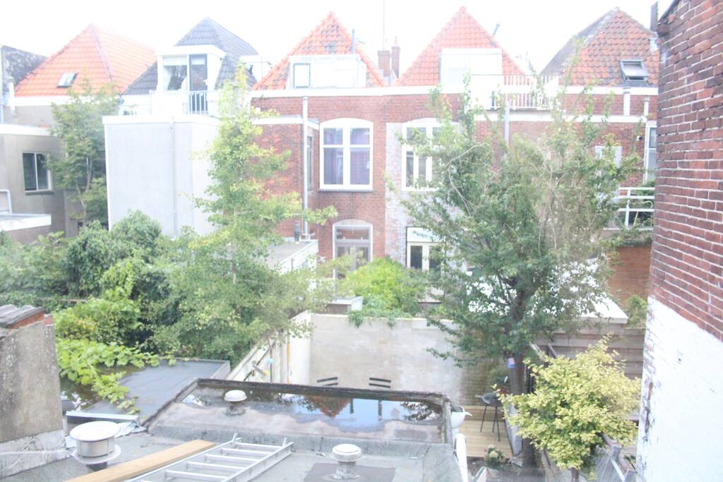 View to garden