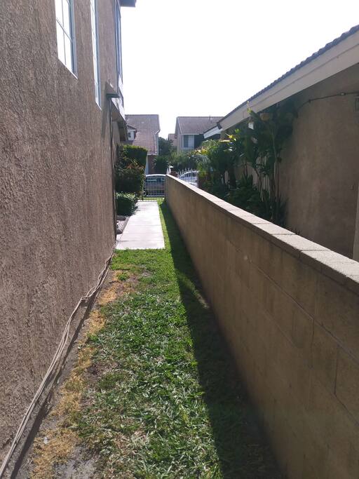 Neighbors love