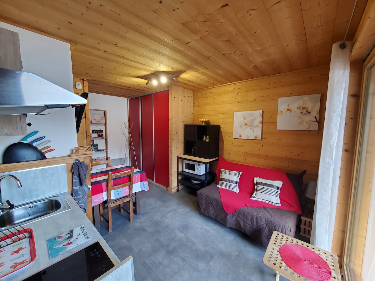 An open living area features wooden walls and ceiling, creating a warm ambiance. A spacious red sofa is accompanied by a wooden dining table set for four. Simple art decorates the walls, while kitchen essentials are neatly arranged. Natural light enters through large glass doors.