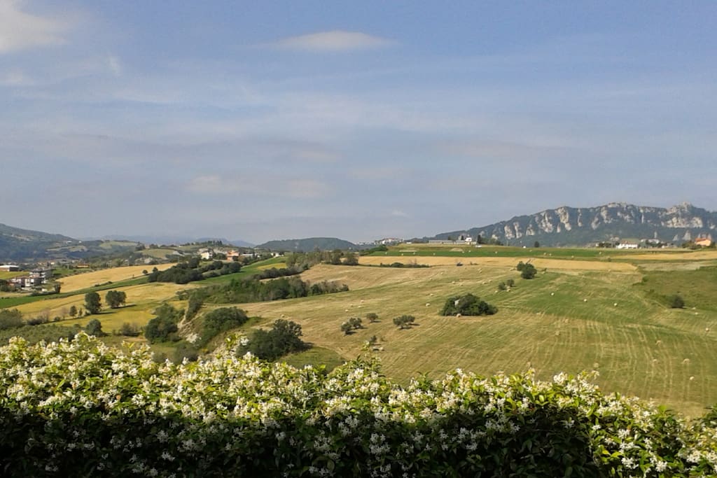 panorama