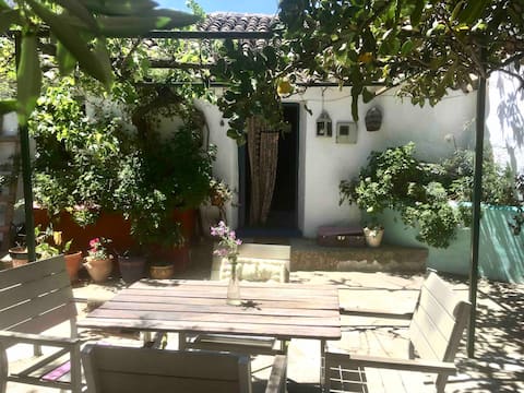 Casa Utopia II