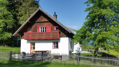 Exceptional "vacation home/alpine house" in Abtenau