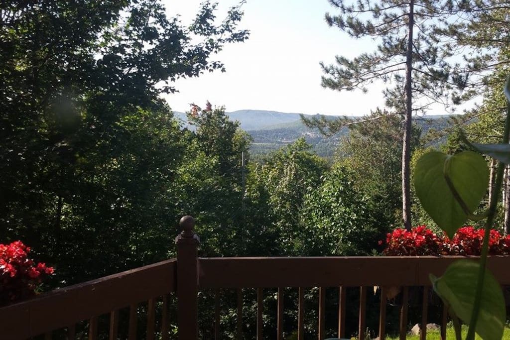 L'été sur la terrasse au 1er