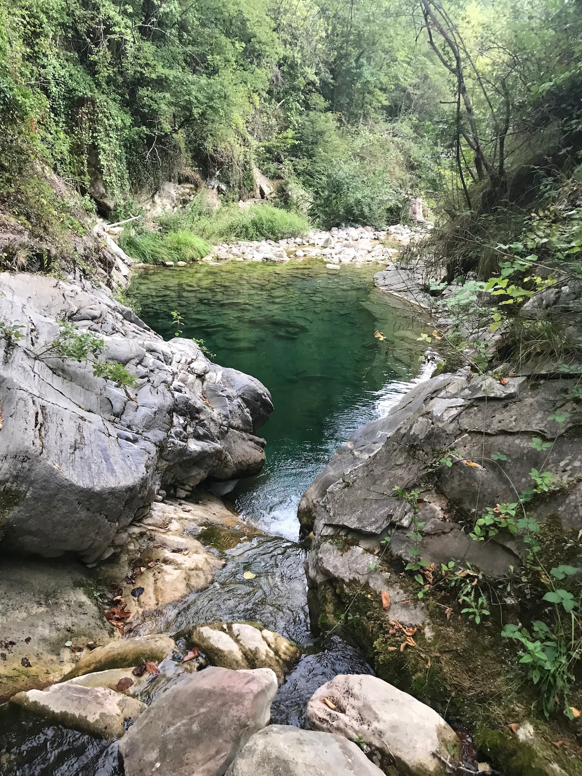 A serene natural pool, surrounded by smooth stones and lush greenery. Clear, calm water reflects the surrounding forest, while gentle ripples suggest a tranquil flow. Overhanging foliage adds depth to the scene, inviting a sense of peace and connection with nature.