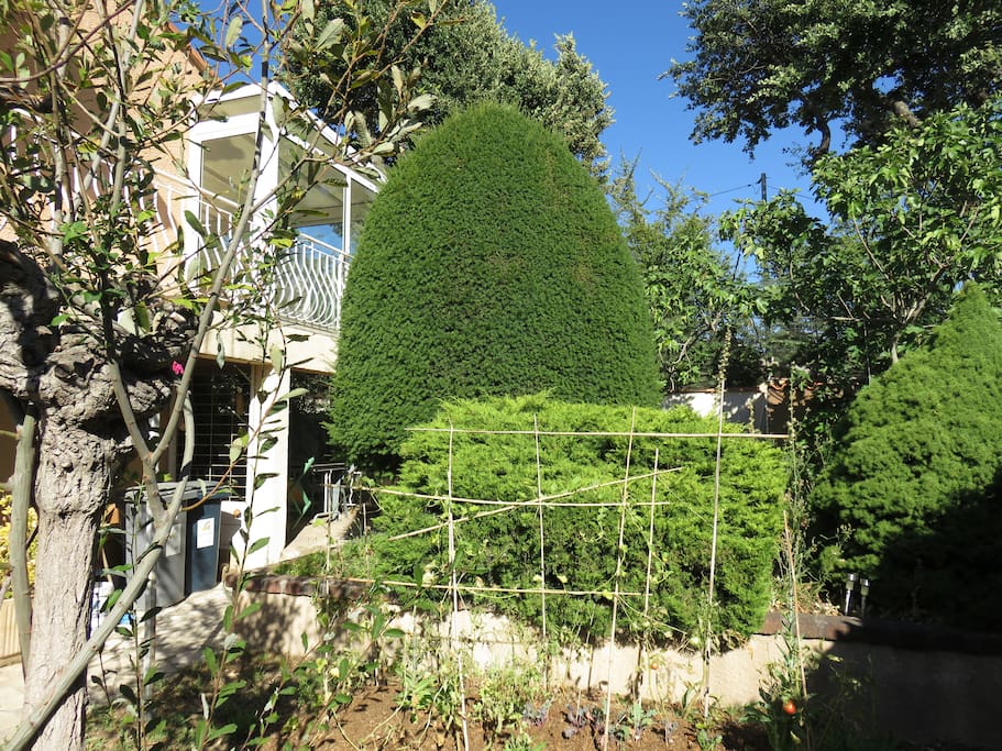 Jardin
