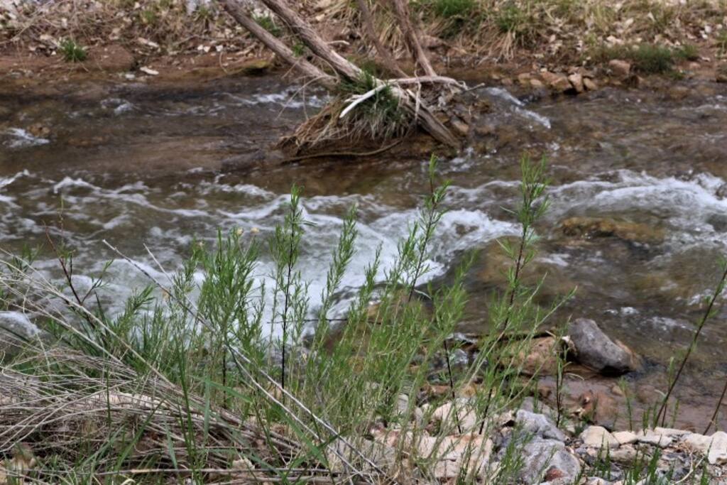Tularosa river runs year round