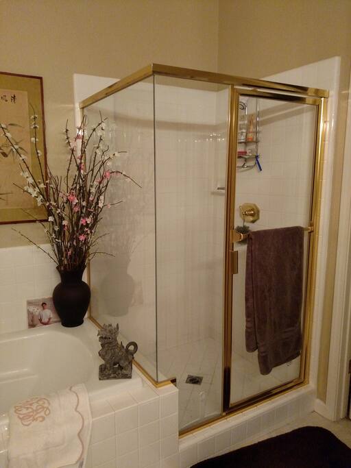 Master shower