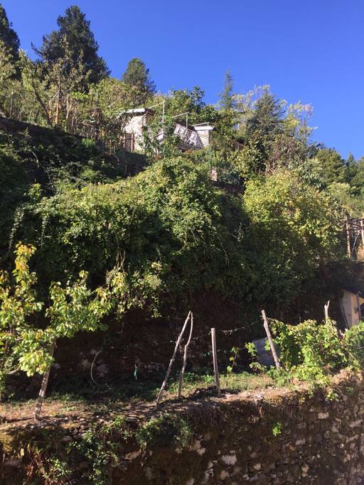 La fascia di terreno davanti casa