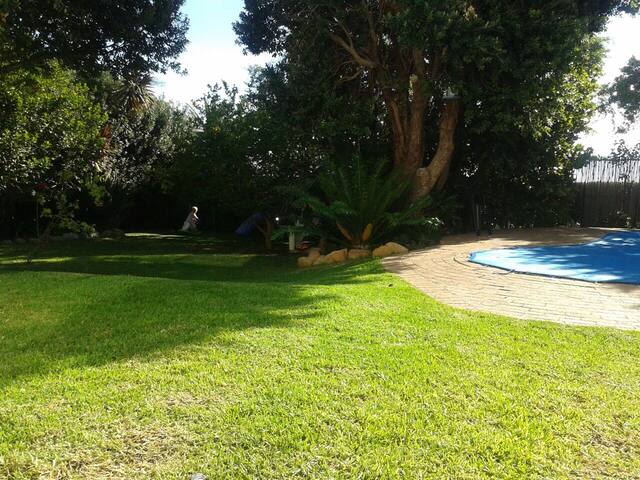 Camps Bay, Atlantic Ocean Family Home gallery image 3