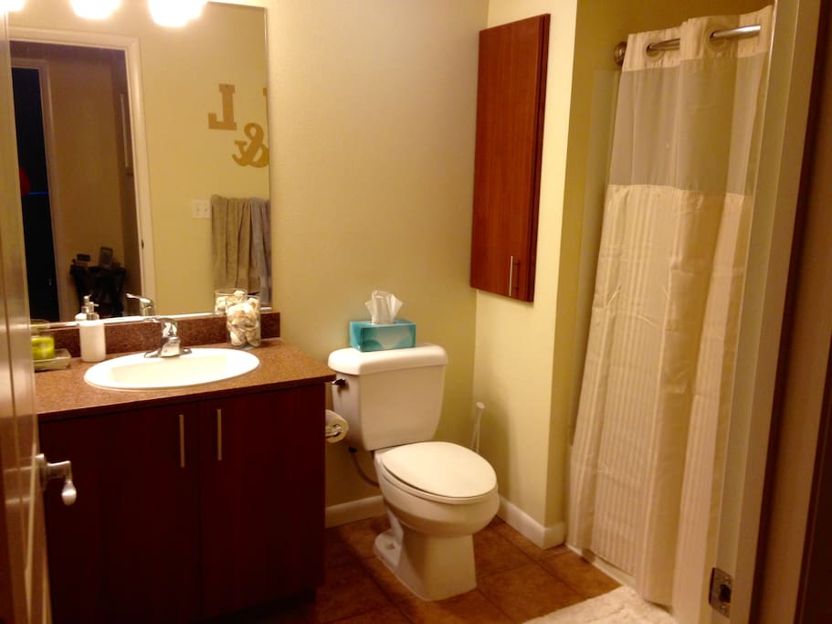 Large bathroom including giant bath tub/shower combo, exhaust fan, great lighting and plenty of cabinet space.