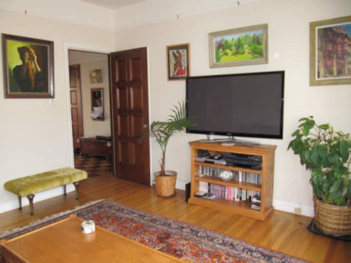 ทีวีขนาด 51 นิ้ว