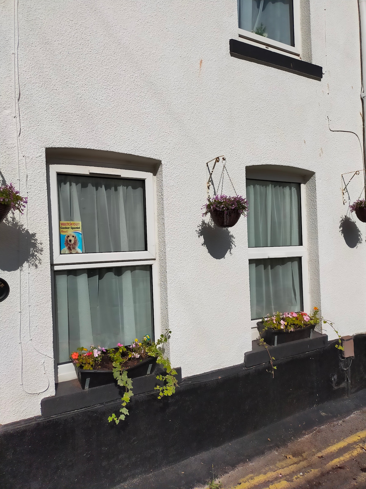The exterior of a cottage is illustrated with three windows, each adorned with flower boxes filled with colorful blossoms. Hanging plants add a touch of greenery. The walls are painted white, contrasting with the dark trim, and the sunlight creates a bright ambiance.