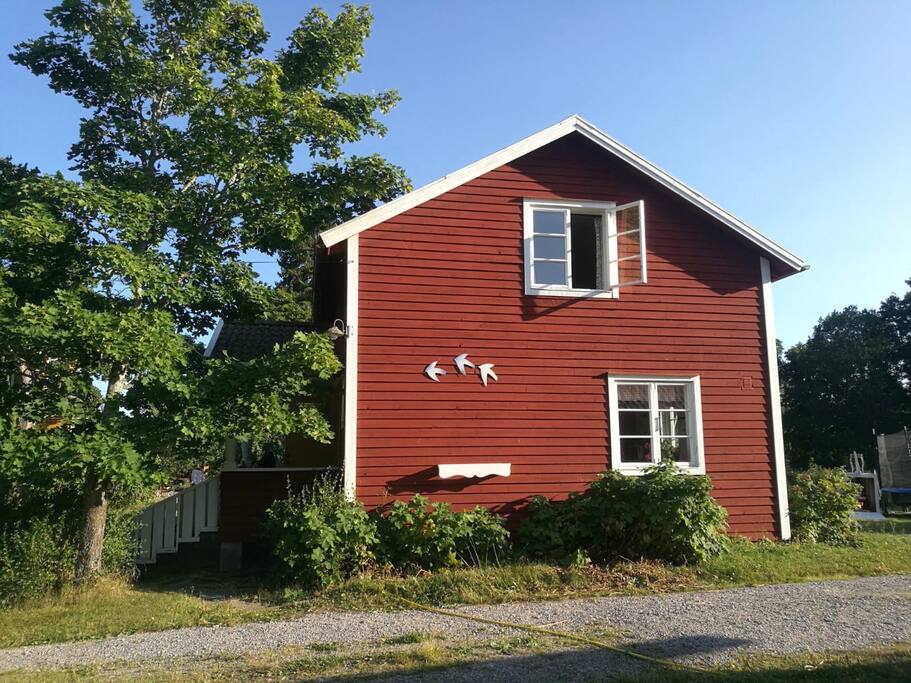 The house
