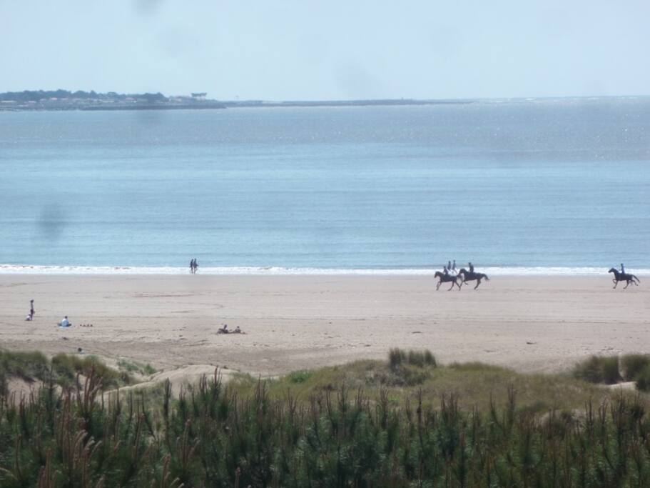 la plage vue du balcon