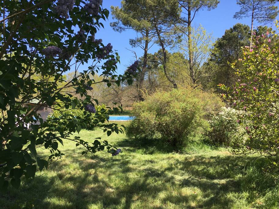 La piscine à ciel ouvert et en pleine nature