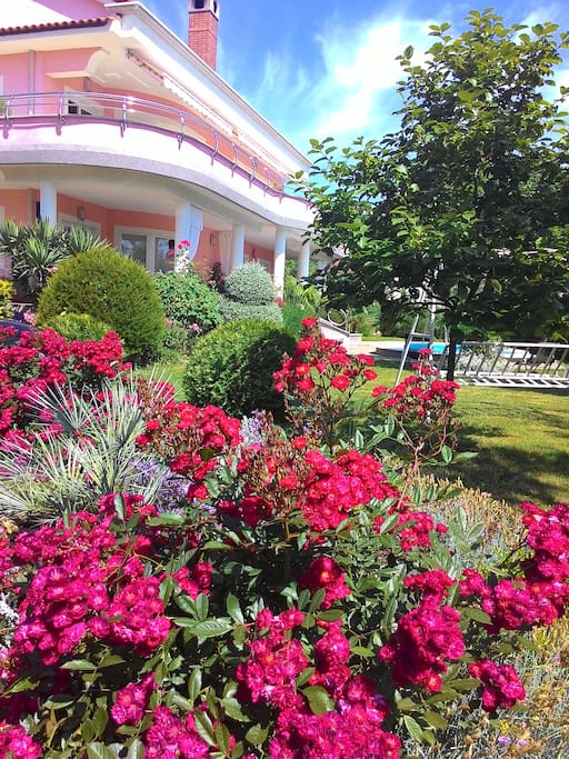 Villa Amelie