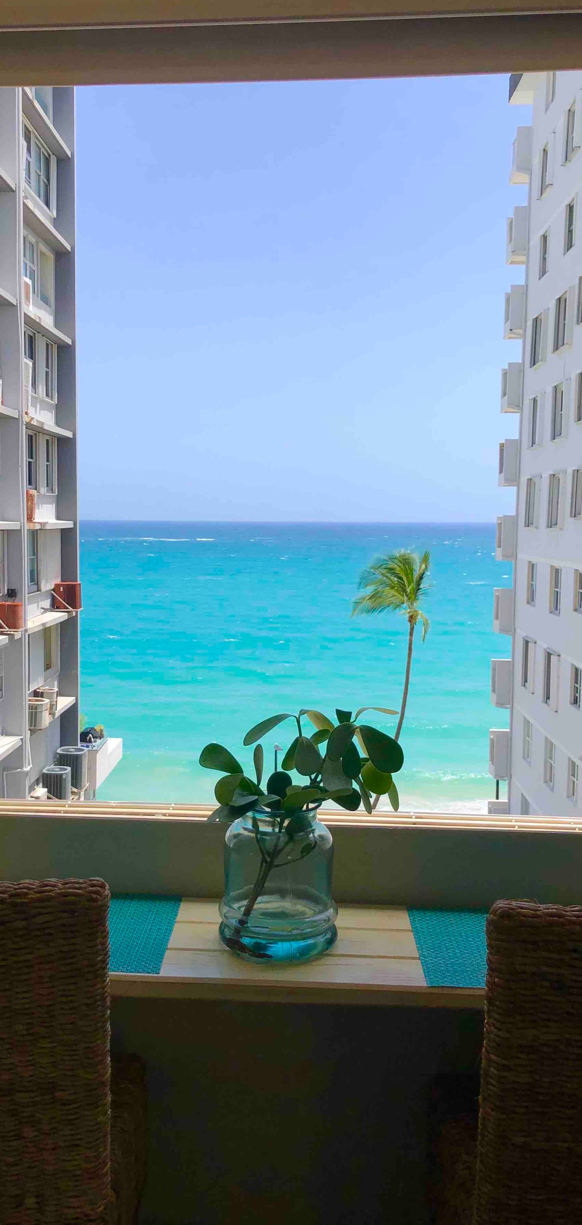 A view from the studio features a clear blue ocean and a gentle palm tree swaying in the breeze. A small table with a plant in a glass vase is positioned in front of the window, framing the tranquil coastal scenery.