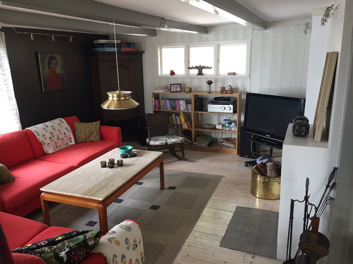 Amplia sala con chimenea, alta fidelidad, TV y sofá cama para dos. 