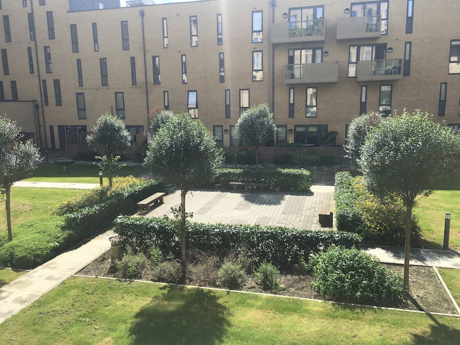 communal garden