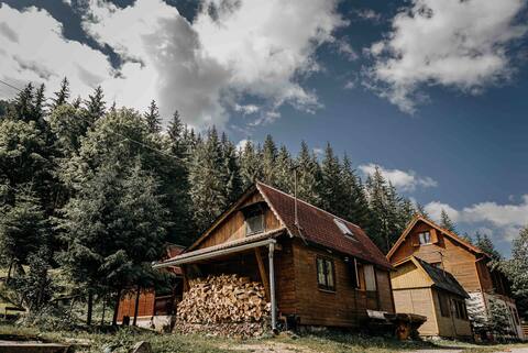 Mountain View Tiny House