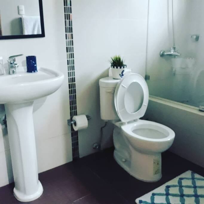 Baño de la habitacion principal