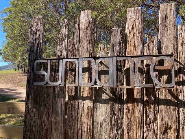 Sundance gallery image 3