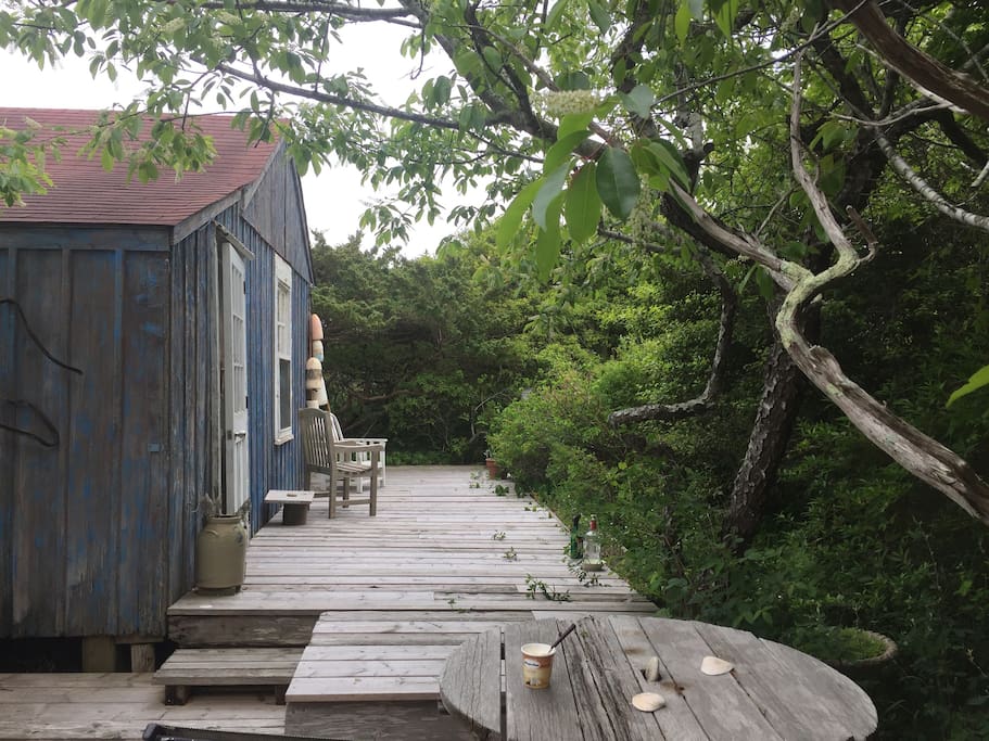 House is surrounded by greenery so you can forget the world you left behind.