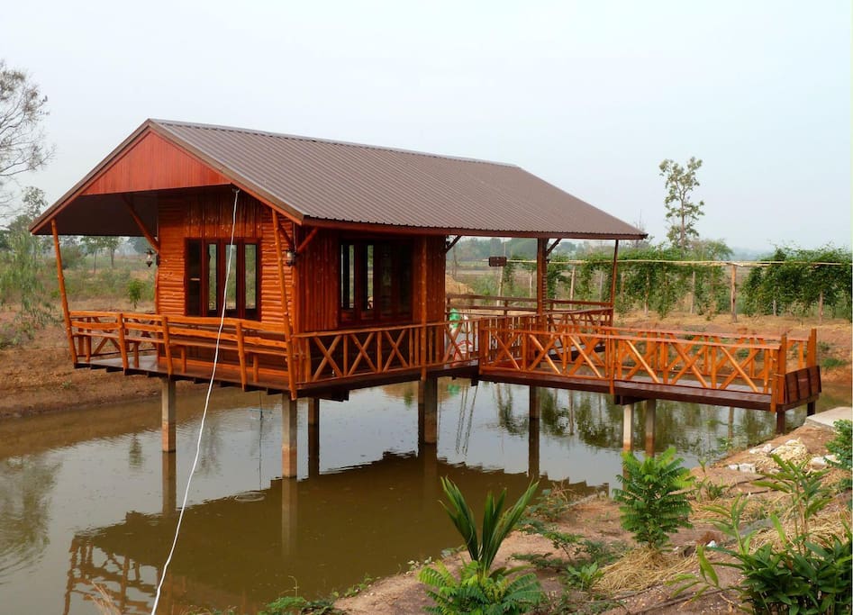 Relax on the veranda of our pool house and watch the fish!