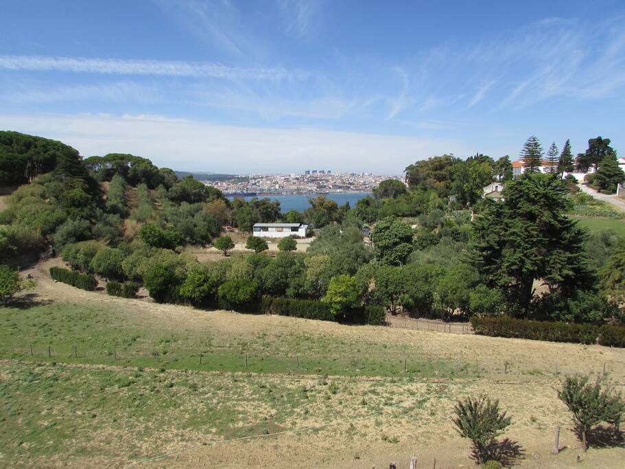 Vista para o Rio Tejo
