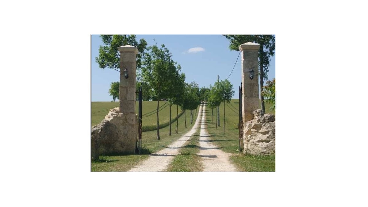 A gravel driveway is framed by stone pillars, leading through a lined path of trees toward an open, green field. Blue skies with a few clouds are visible above, creating a serene and inviting entrance to the property.
