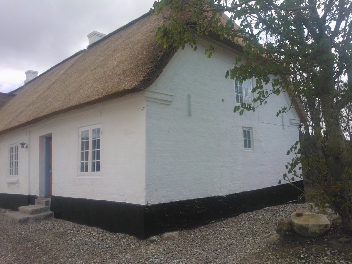 The exterior of a historic building features a thatched roof complemented by whitewashed walls and a contrasting black foundation. Two windows are visible on the side, framed in white, while gravel surrounds the base. A tree with green leaves is situated nearby.
