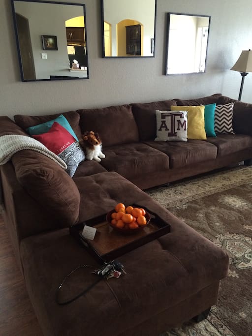 Reveille watches over our house while we're gone.