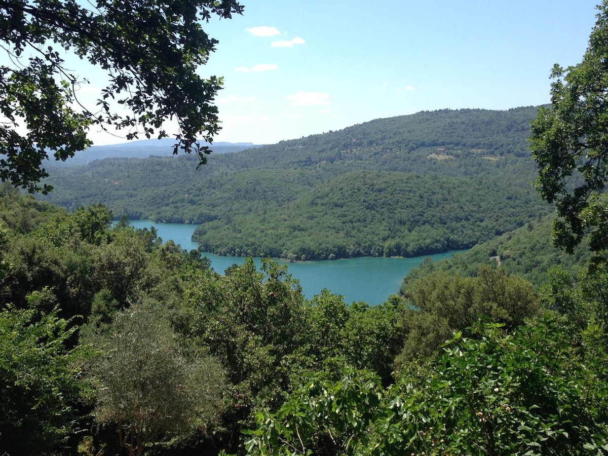 A panoramic view of Lac de Saint-Cassien is presented, surrounded by lush greenery and rolling hills. The tranquil blue waters curve through the vibrant landscape, reflecting the clear sky and enhancing the serene atmosphere. Dense trees frame the scene, creating a peaceful natural setting.