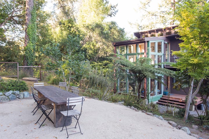 Zoe's Tree House
