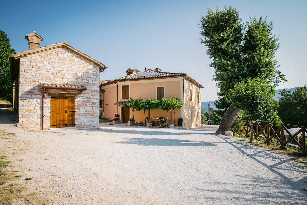 Acqualagna: kiadó nyaralók és otthonok - Marche, Olaszország | Airbnb