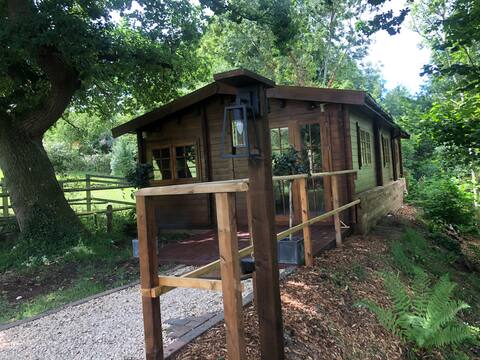 Forest lodge with a view over the Wye