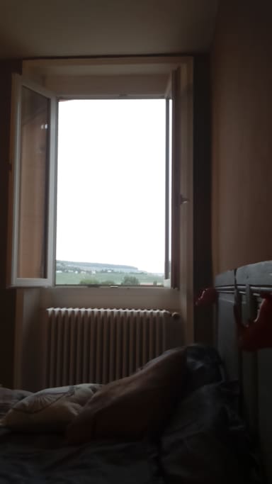 Vue sur notre jardin et le coeur de la vallée de la Marne