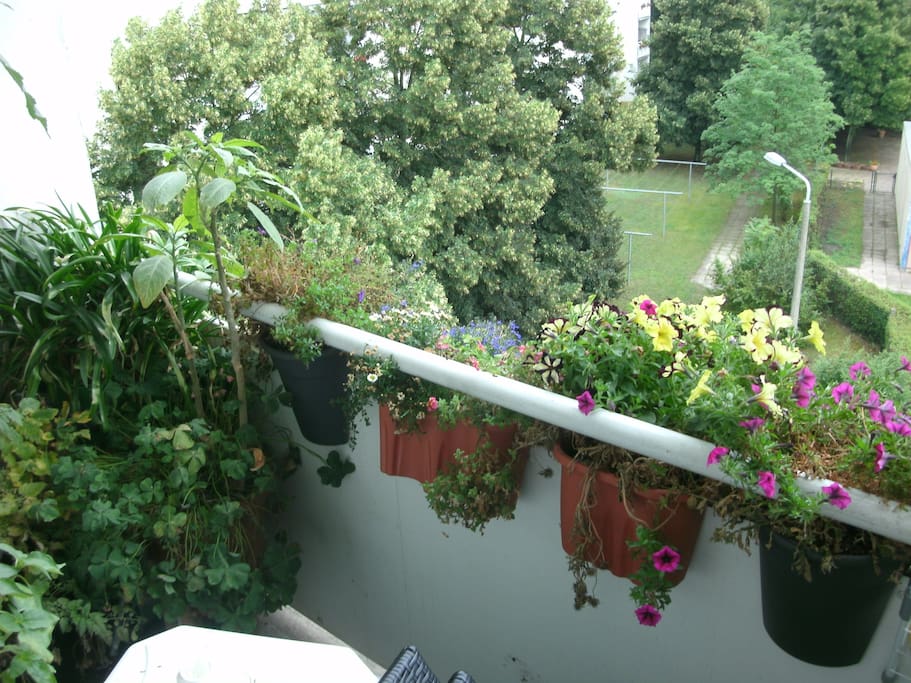 Balkon