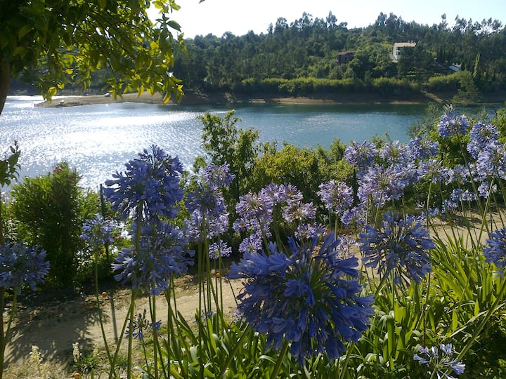 House in Castelo de Bode Dam - Airbnb