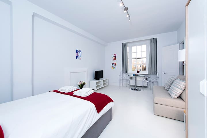 Spacious and Bright Studio in Bayswater