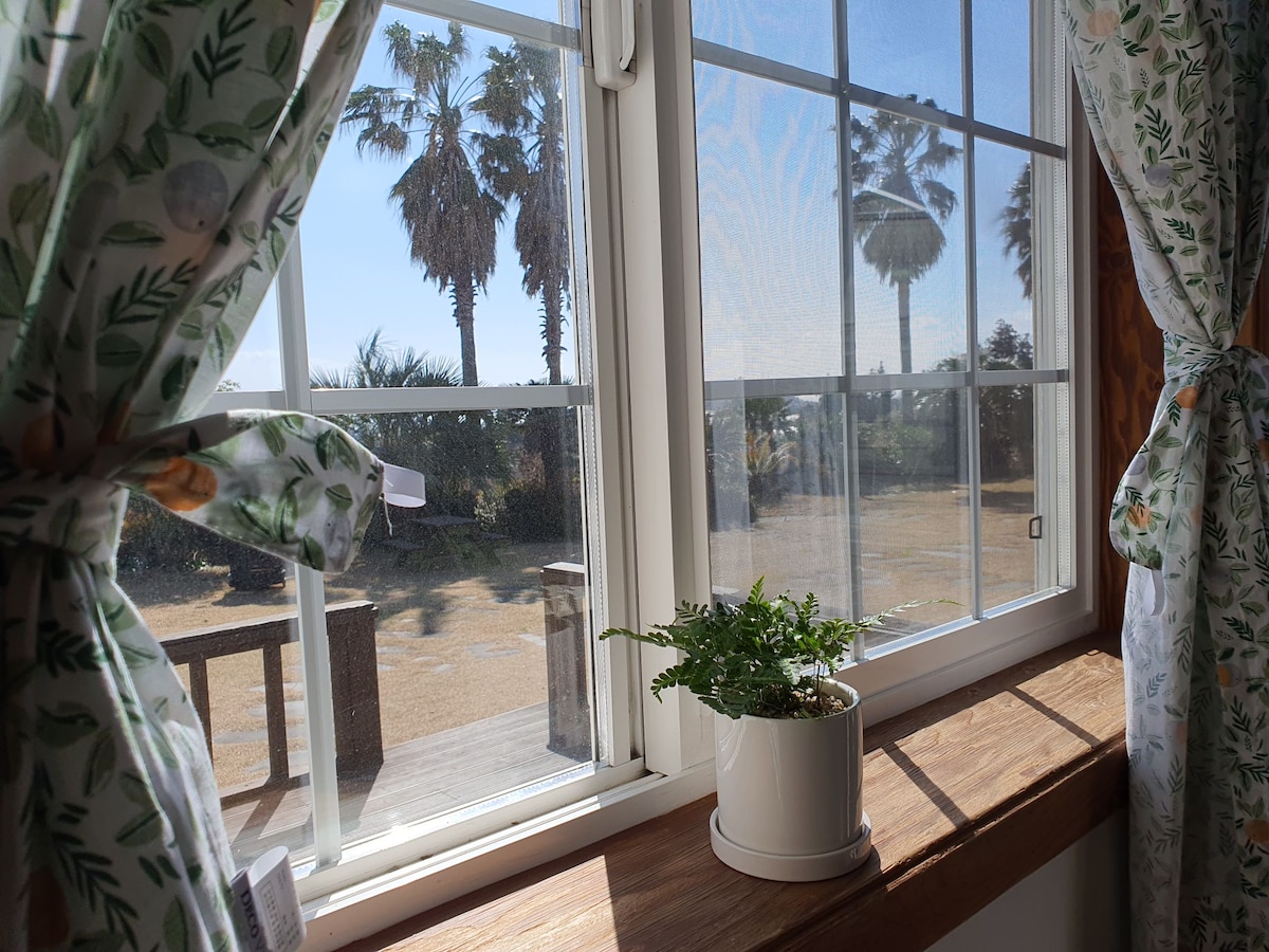 A bright window offers a view of palm trees and outdoor scenery. Light filters through sheer curtains adorned with floral patterns. A small potted fern sits on the windowsill, adding a touch of greenery to the space.