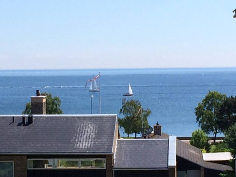 From the kitchen window