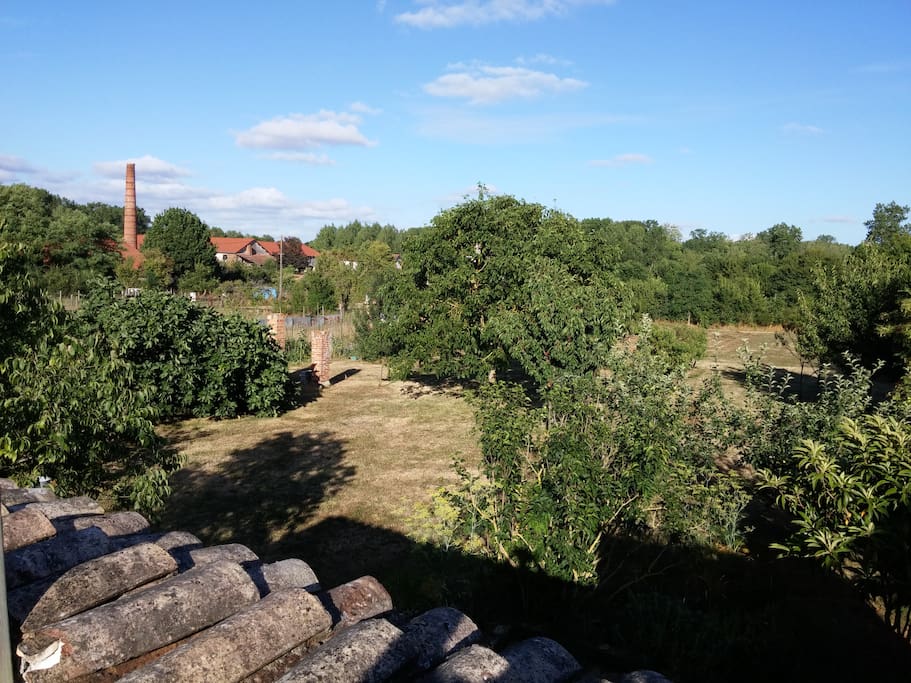 vue depuis la terrasse / the view from the terrace
