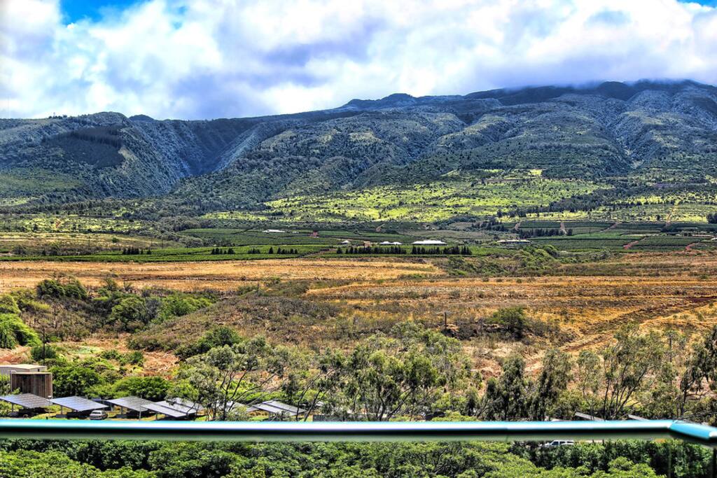 The mountain views and the ocean breeze truly make this place paradise.