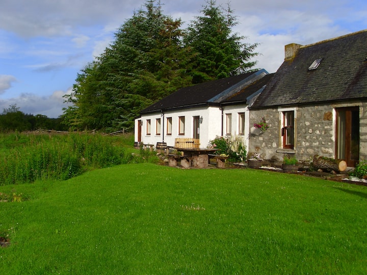 Tollie B&B High Class (UR) Bed and breakfasts for Rent