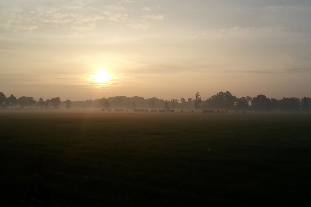 Opkomende zon vroeg in de ochtend