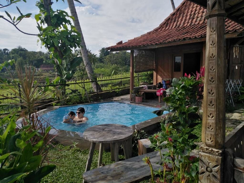 A refreshing outdoor pool is surrounded by lush greenery and tropical plants. A wooden pavilion features a traditional roof and offers shaded seating. In the background, rice fields can be seen, enhancing the serene ambiance of the space.