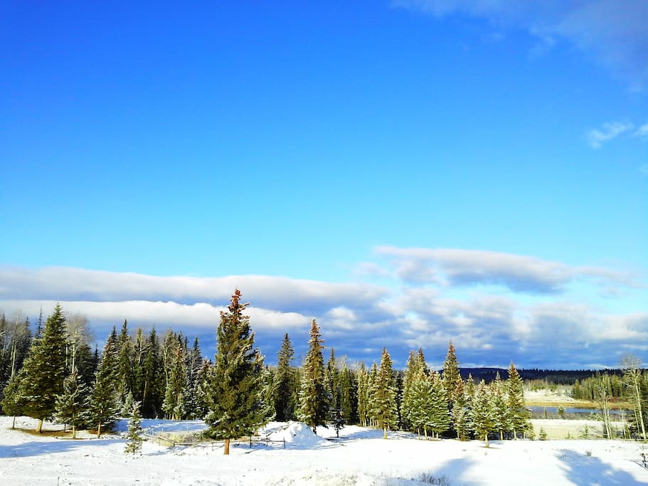 Farm with snow
