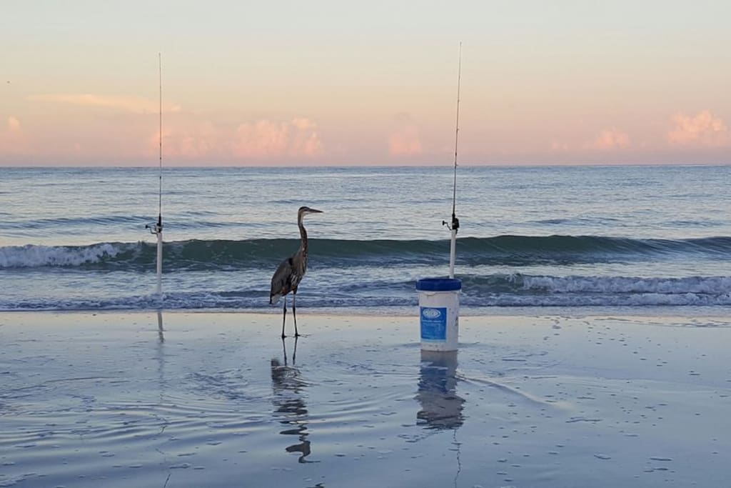 Morning fishing across street