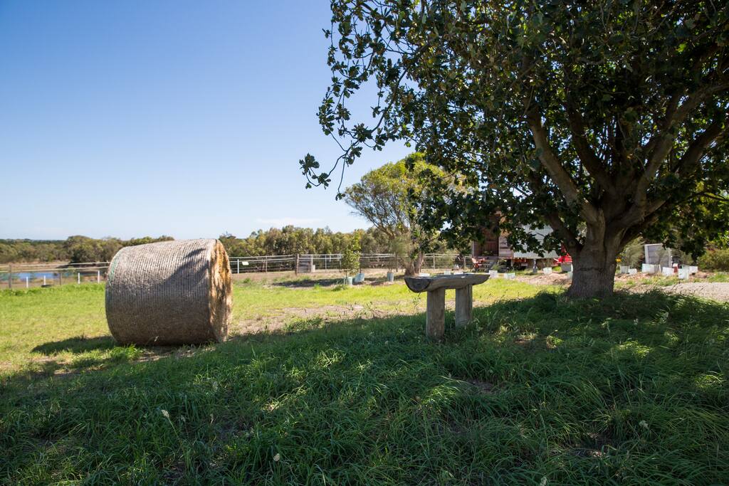A romantic place for two to sit and enjoy the view